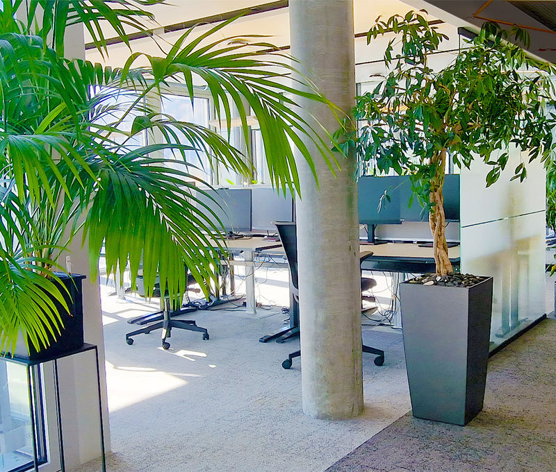 17 Maneggstrasse, Zürich - Image 3