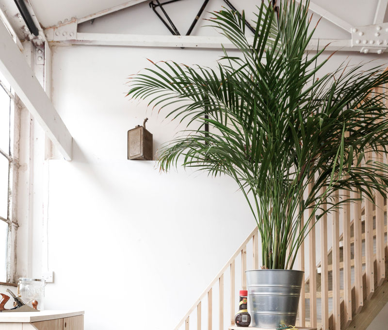 5 Argall Avenue, Greater London - Image 12