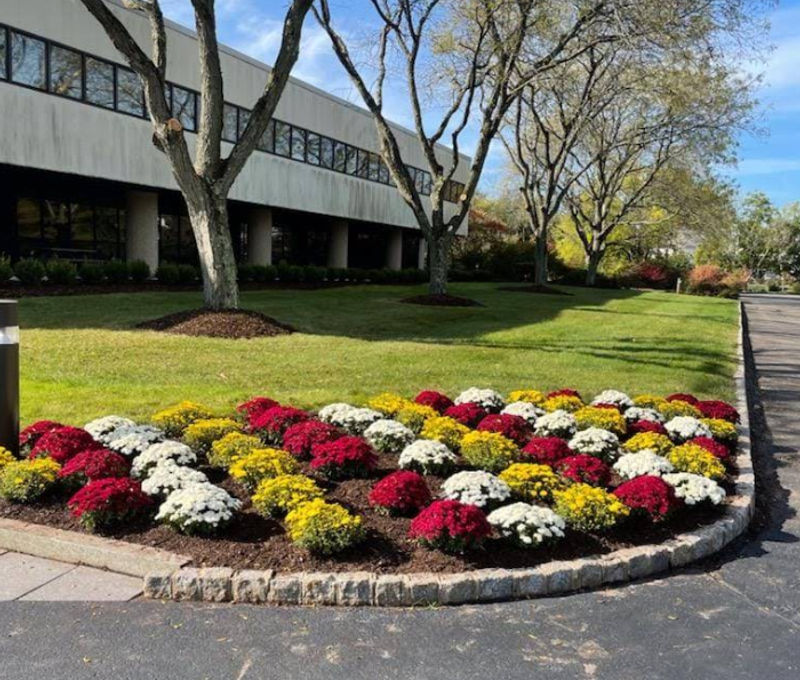 23 Orchard Road, Skillman - Image 6