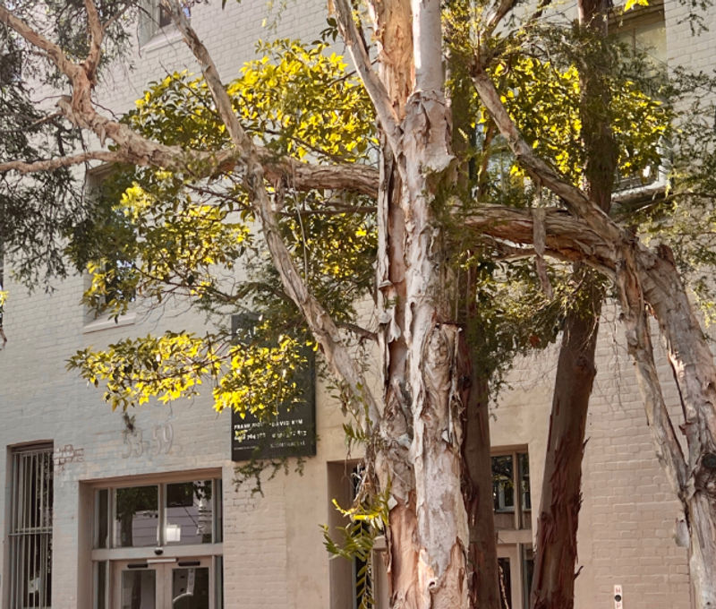 53 Great Buckingham Street 53 Great Buckingham Street, Redfern - Image 4