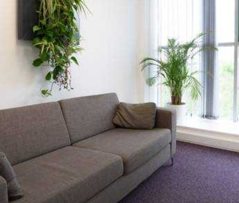 Eismann Way, Corby - Image 8