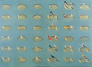 Frank Brunner, Montre med 68 fugler, 2001, 170 x 234 cm