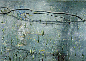Frank Brunner, 45� Brooklyn #1, 2005, 142 x 198 cm