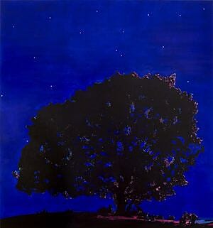 Marius Engstr�m, Storyteller, 2008, 150 x 140 cm
