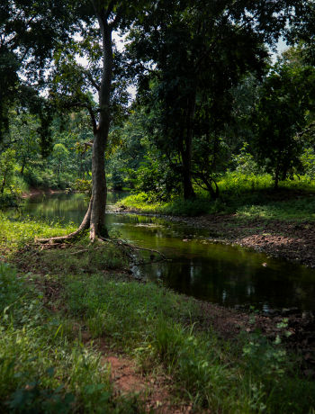 Sustainability meets regeneration - mobile