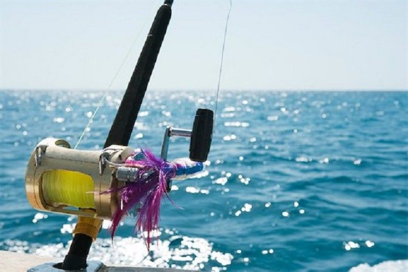 Prepara il tavolo Validazione posizione fortitude fishing reels