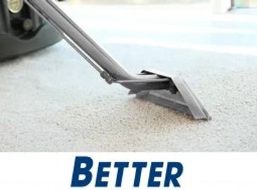 Exceptional Carpet Cleaning & Pest Control