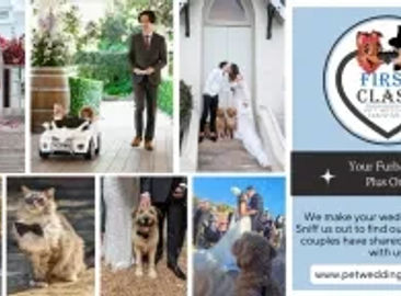 Pet Wedding & Pet Sitting Franchise Available