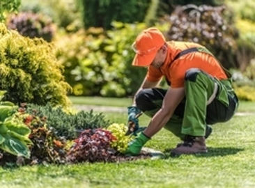 34528 Profitable Garden And Maintenance Business - High Demand