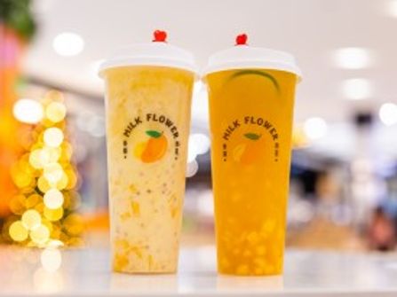 New Milk Flower Franchise For Sale – Healthy Fruit & Yoghurt Based Drink Business – Adelaide Location – Recognised Brand – High Growth Potential – Price Starts From $200,000 + Gst & Bond