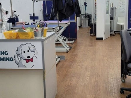 Dog Grooming - Boronia Mw1436 (under Contract)