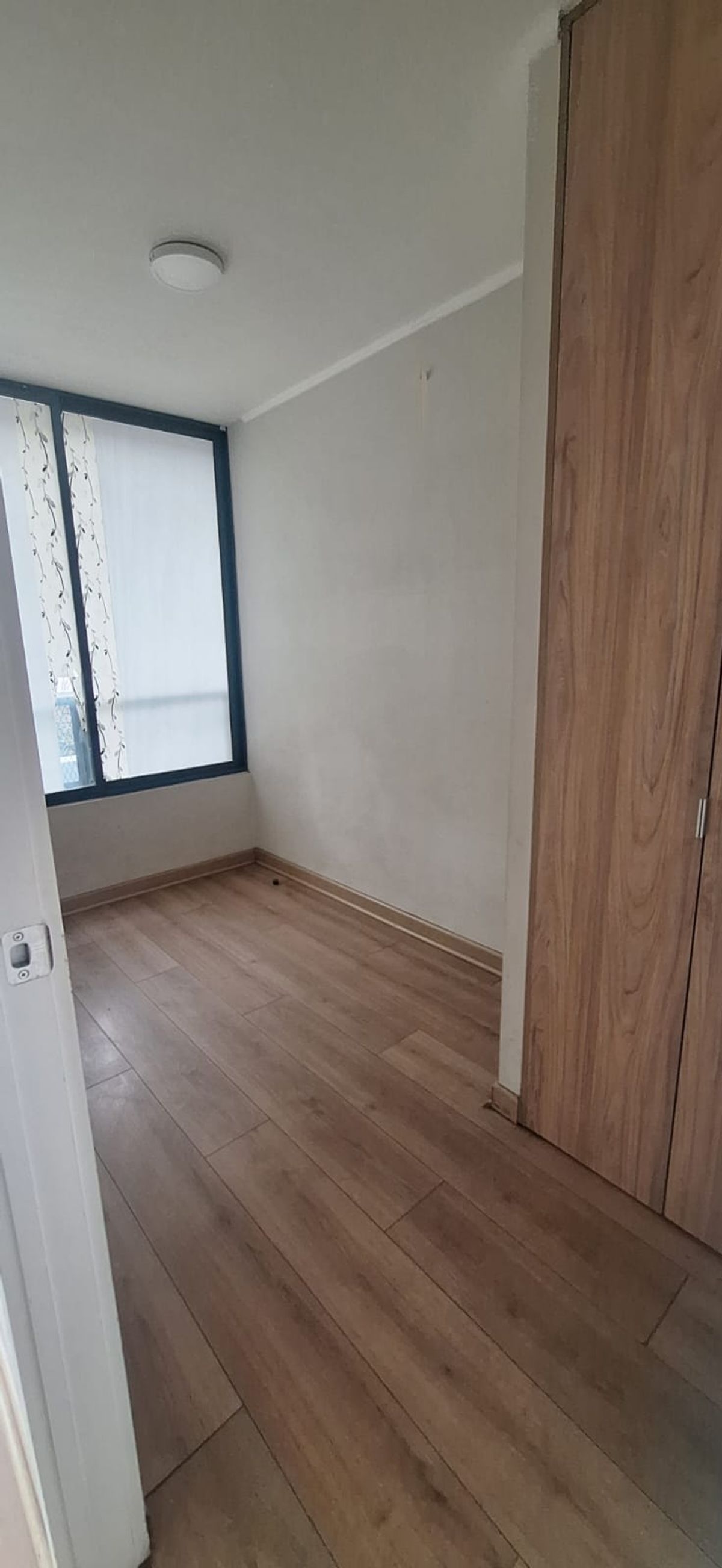 Foto 19