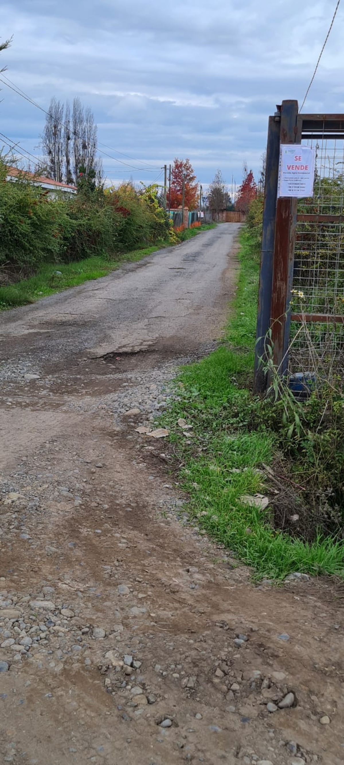 Foto 16