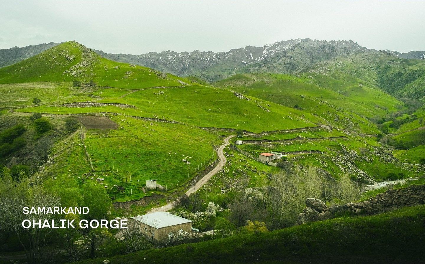 Ohalik Village Day Experience