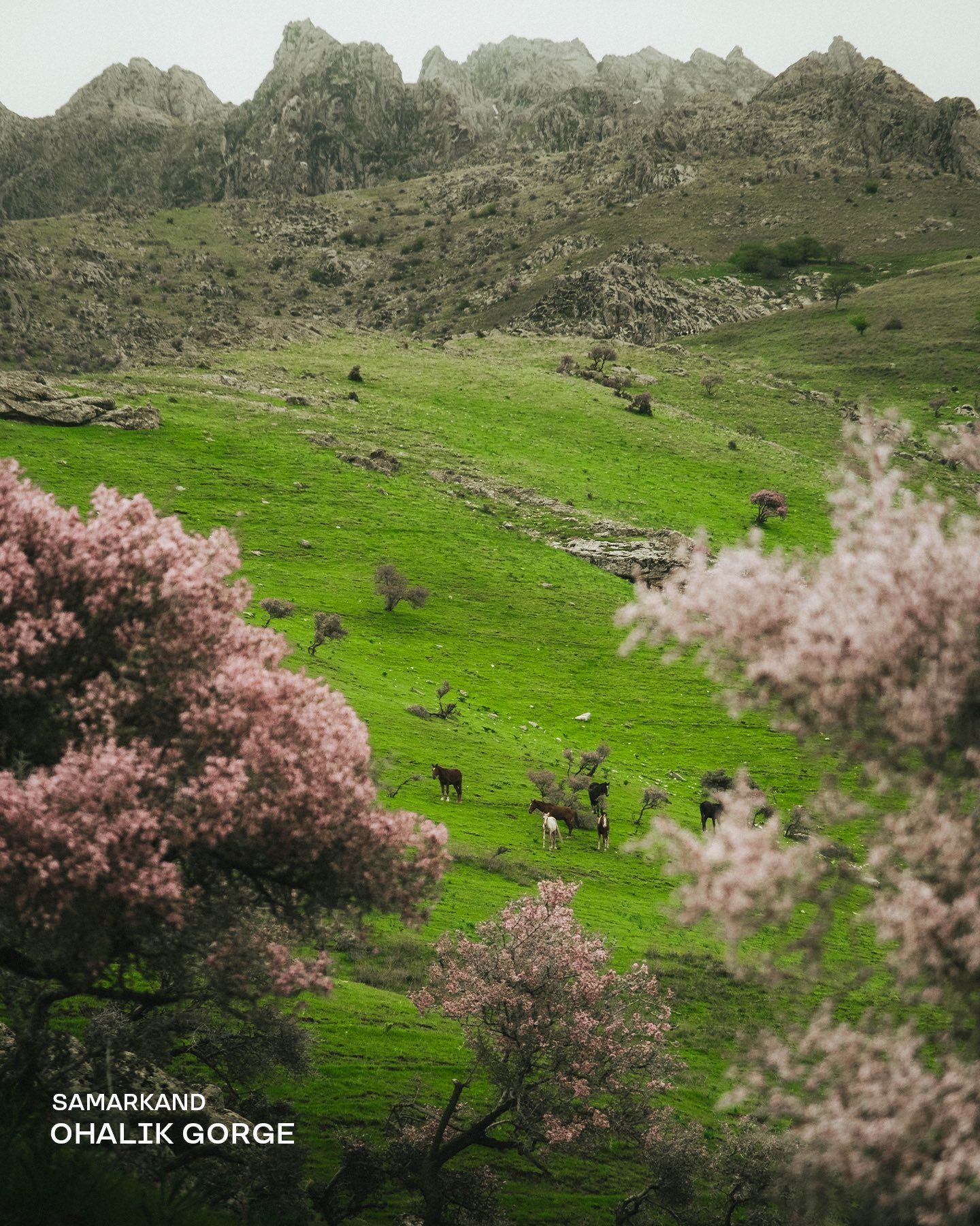 Ohalik Village Day Experience