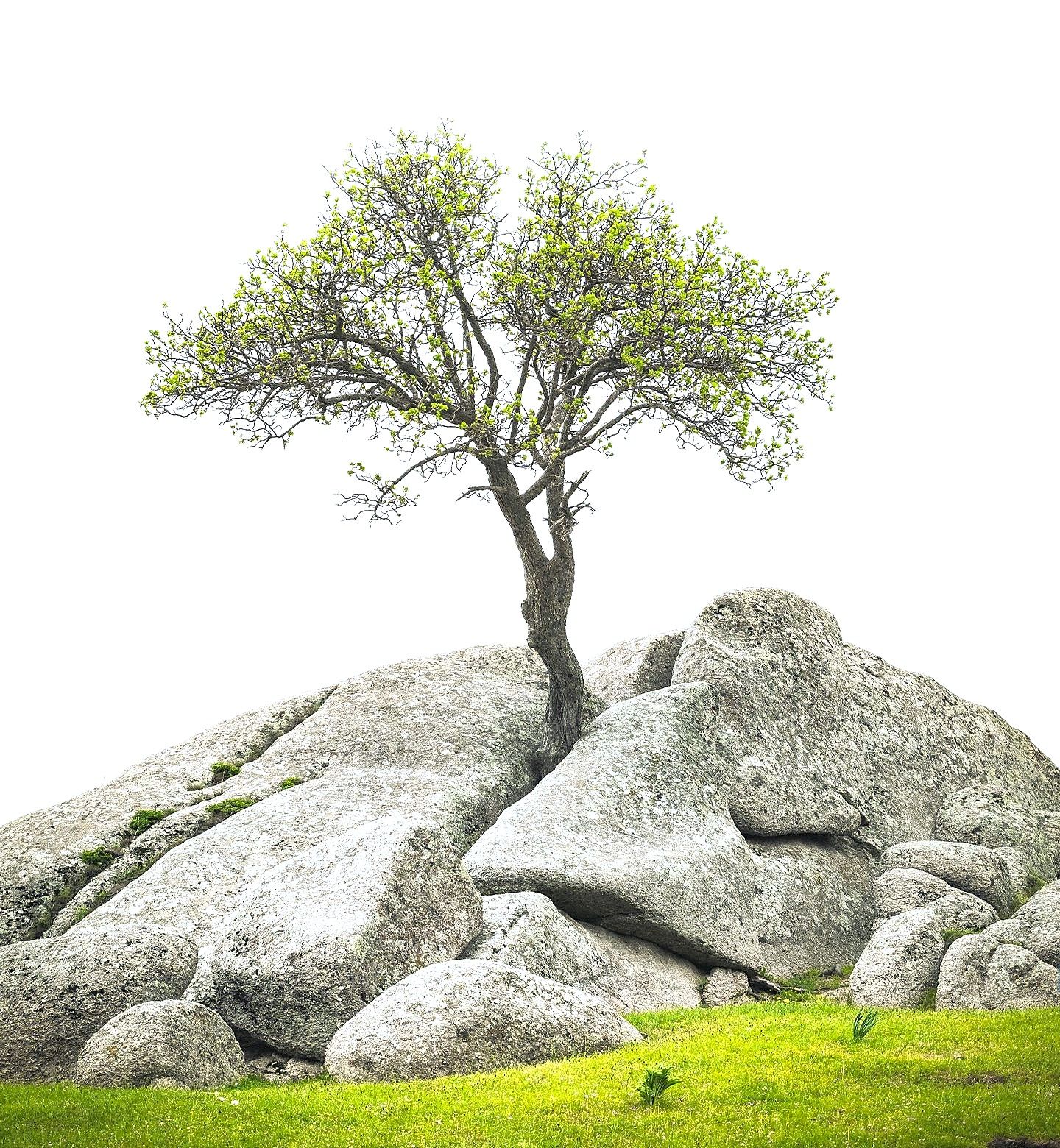 Ohalik Village Day Experience