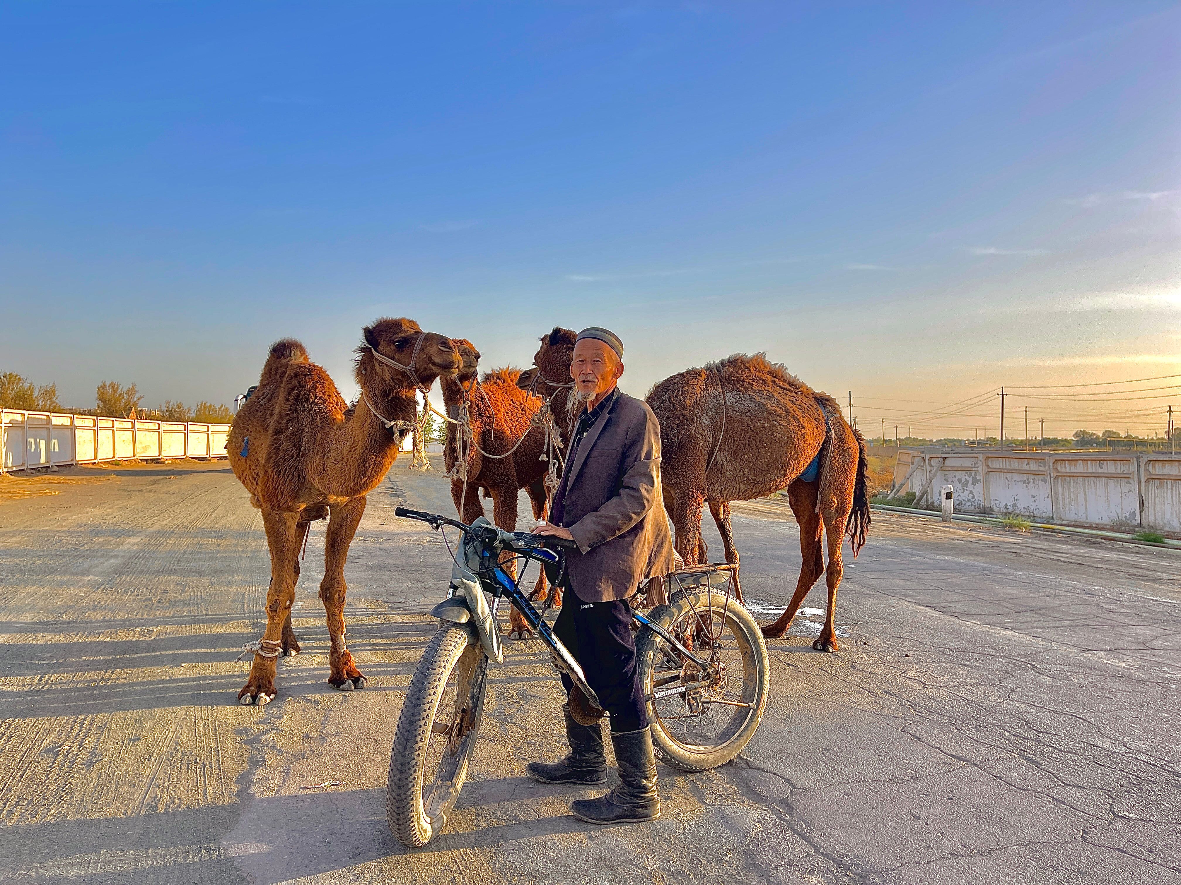 Karakalpakistan, Uzbekistan, Travel, Camel, man