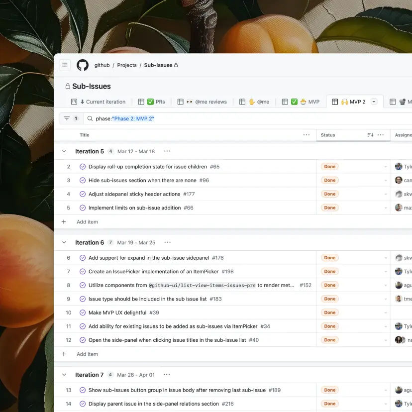 GitHub Projects