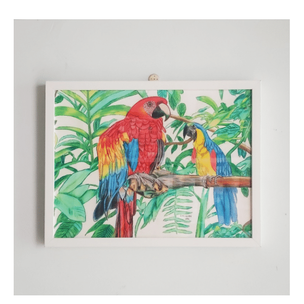 Picture of Macaw Parrots