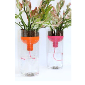 Show details for Upcycled Self-Watering Planter Workshop Picture of Upcycled Self-Watering Planter Workshop