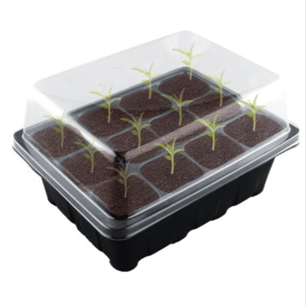 Picture of Urban Farming with Hands-on Activity (DIY Germination Station)