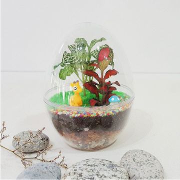Show details for Terrarium Workshop - Plastic Egg Picture of Terrarium Workshop - Plastic Egg