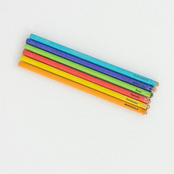 Picture of EcoGrow Seed Pencils  