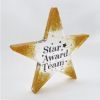 Picture of Resin Star Award Plaque 