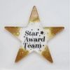 Picture of Resin Star Award Plaque 