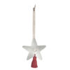 Picture of Shooting Star