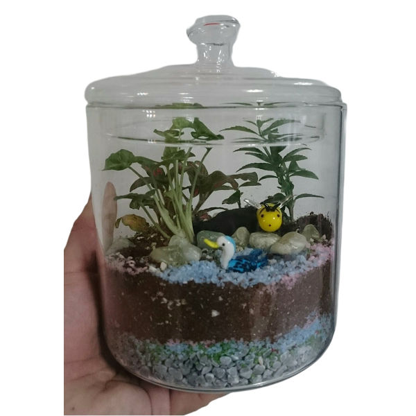 Picture of Terrarium Workshop - Classic Closed