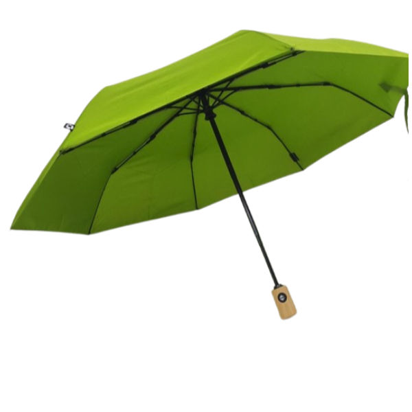 Picture of Auto Open Rpet Recycled Canopy Long Straight Umbrella