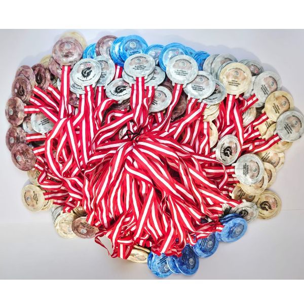 Picture of Sustainable Medals Made from Recycled Plastic