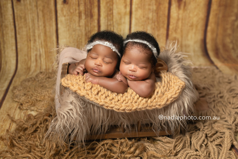 newborn photographer brisbane by Nadia Photo