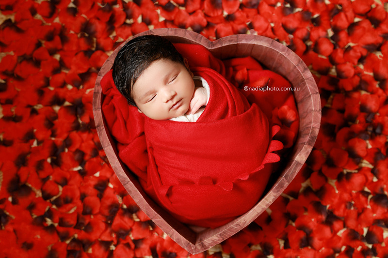 newborn photographer brisbane by Nadia Photo