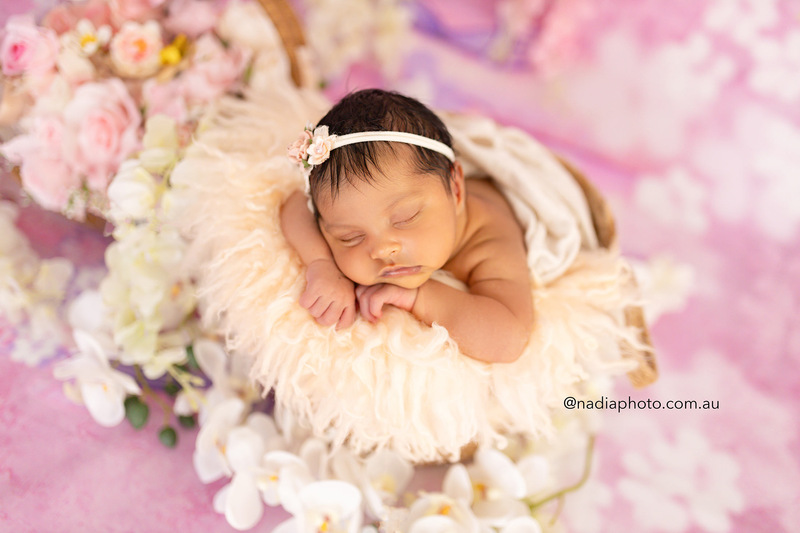 newborn photographer brisbane by Nadia Photo