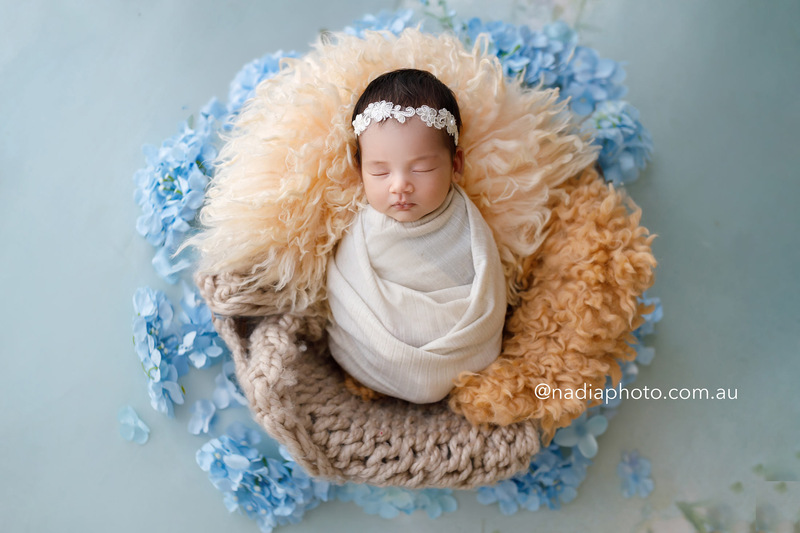 newborn photographer brisbane by Nadia Photo