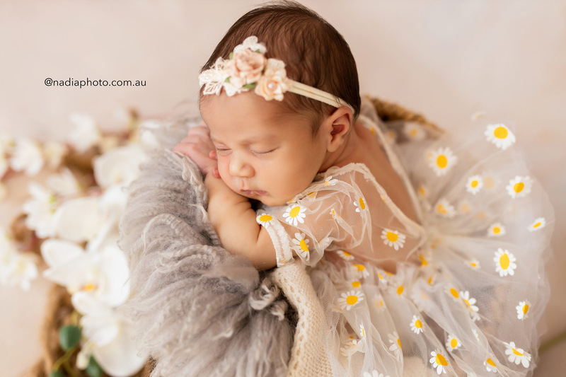 newborn photographer brisbane by Nadia Photo