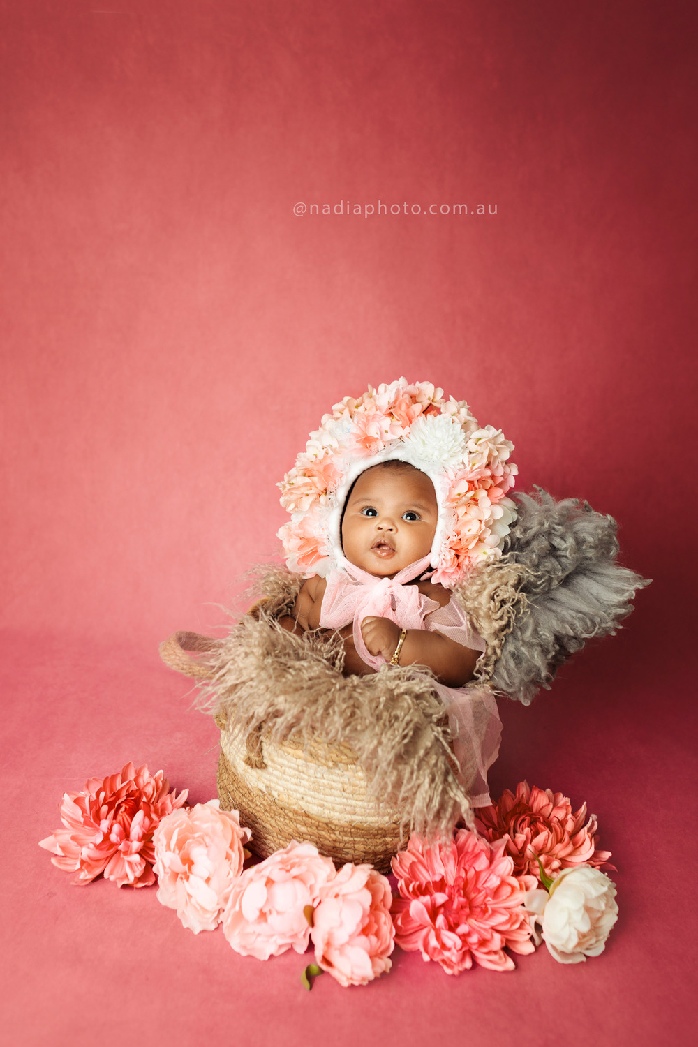 Babies/Kids photographer Brisbane by Nadia Photo