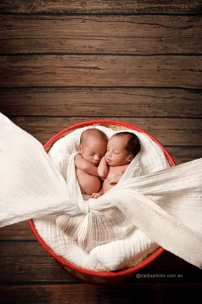 NEWBORN TWIN PHOTOGRAPHY BRISBANE