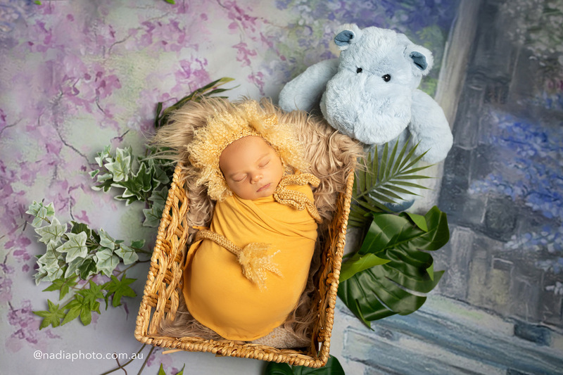 newborn photographer brisbane by Nadia Photo