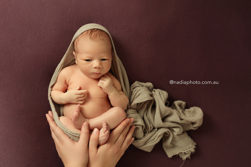 newborn photographer brisbane by Nadia Photo