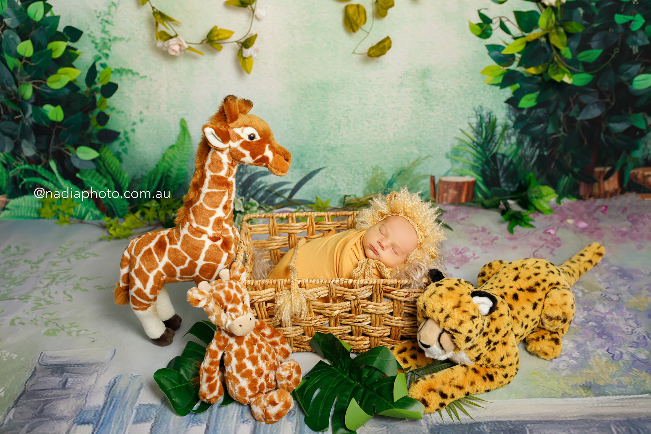 Newborn Photography Safari theme in Brisbane - Nadia Photo