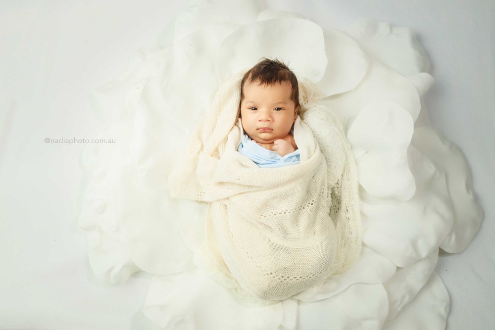 Newborn photographer Brisbane by Nadia Photo