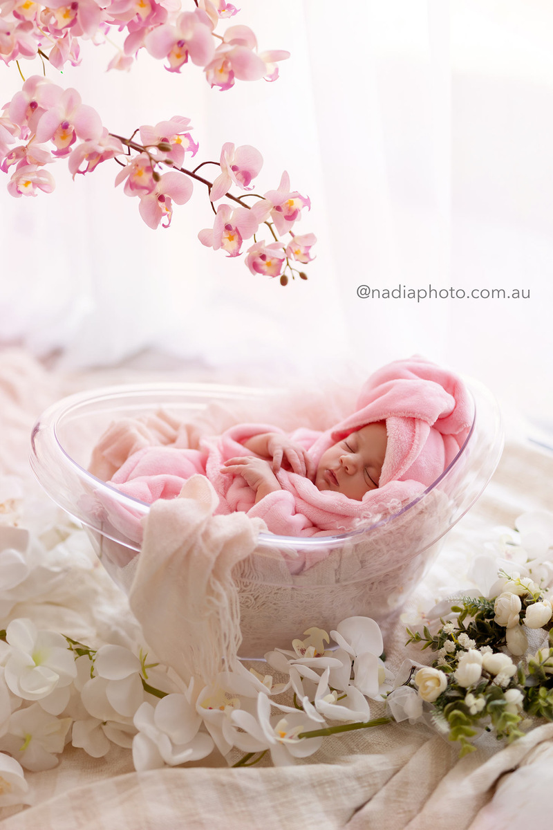 newborn photographer brisbane by Nadia Photo