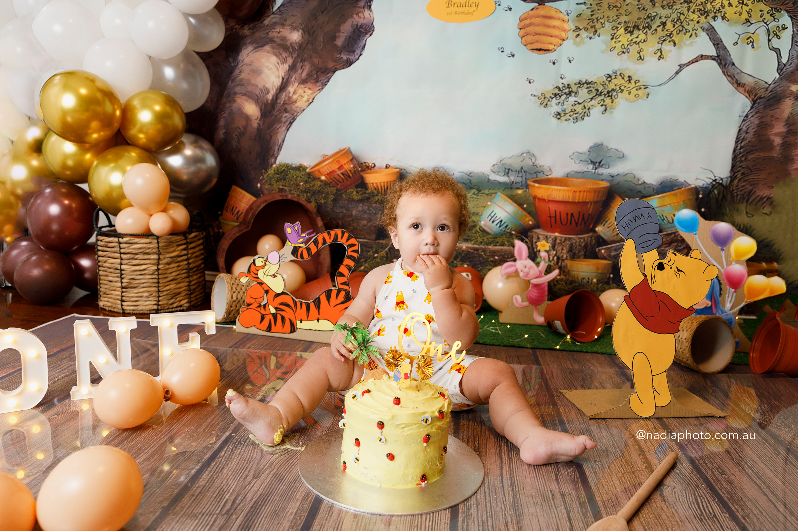 Bradley First Birthday Photoshoot