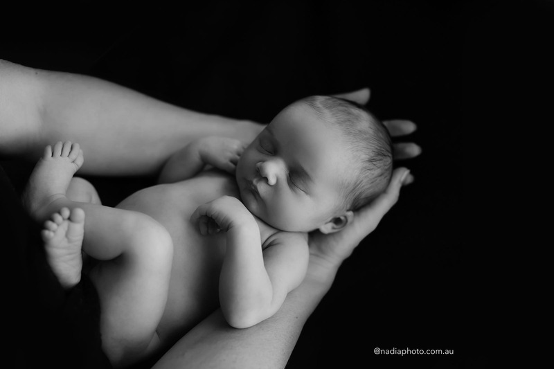 newborn photographer brisbane by Nadia Photo