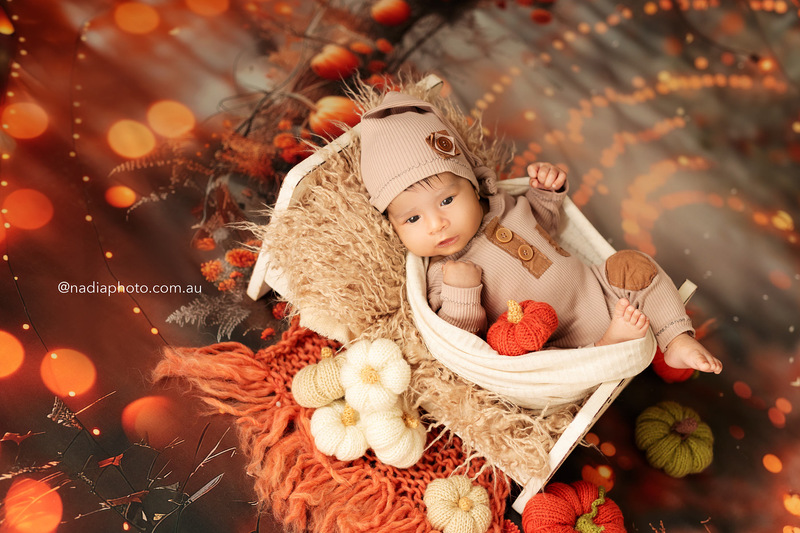 newborn photographer brisbane by Nadia Photo