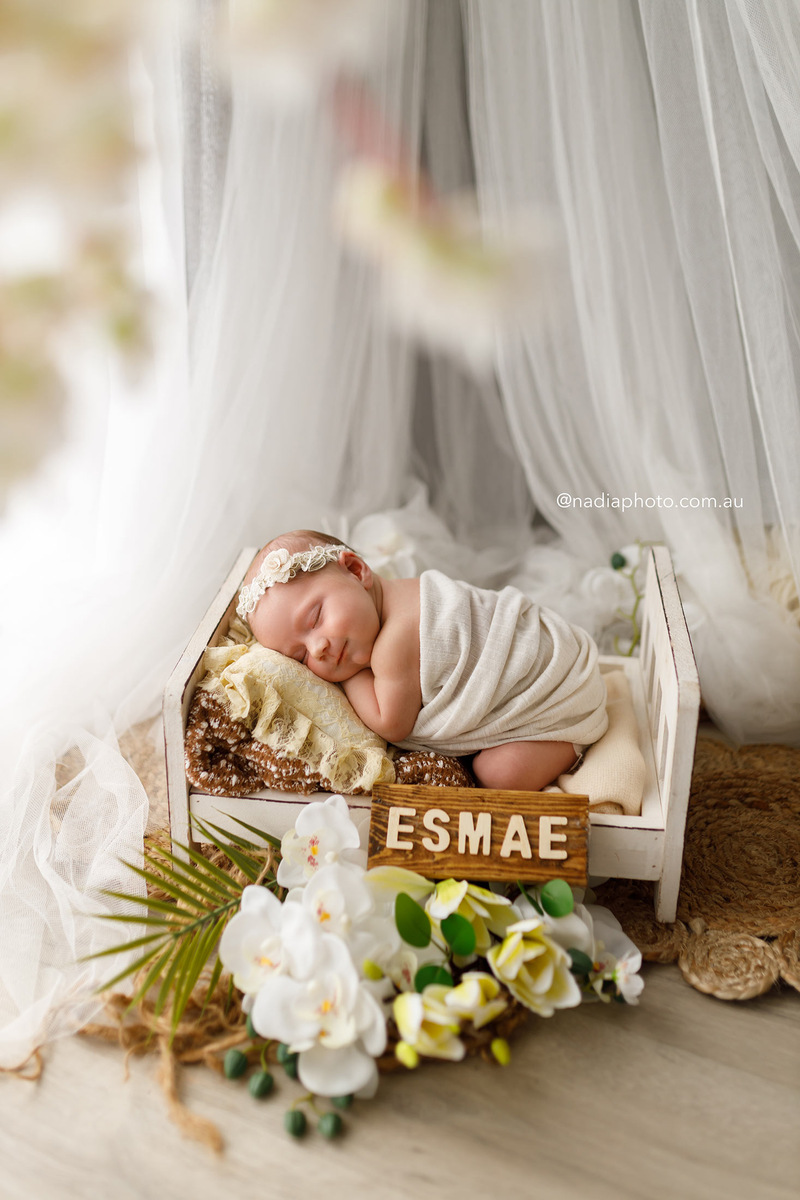 newborn photographer brisbane by Nadia Photo