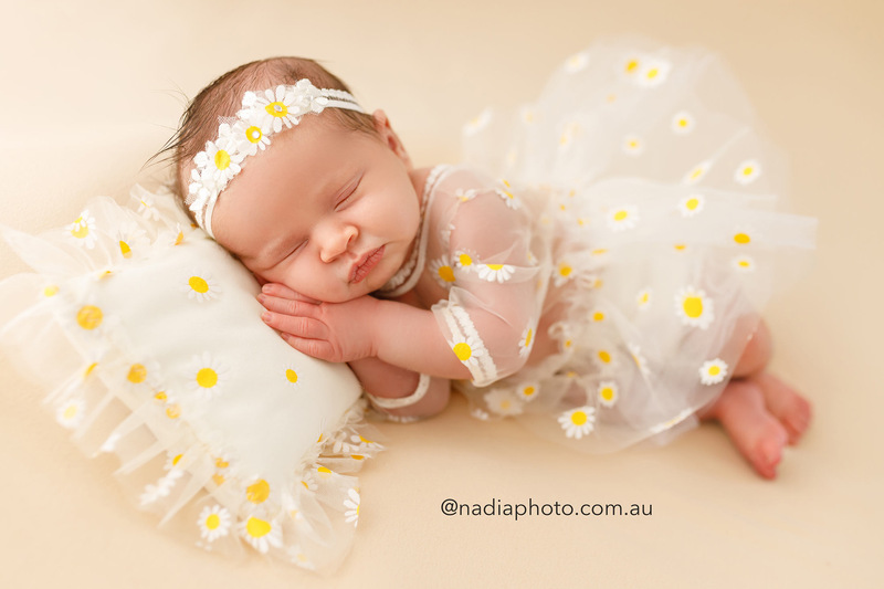 newborn photographer brisbane by Nadia Photo